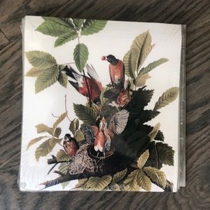 Envelope liners Audubon bird A7 envelopes